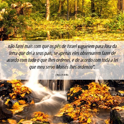 Picture 06 - 2 Reis 21:8 BSL - não farei mais com que os pés de Israel - Bible Verse Picture