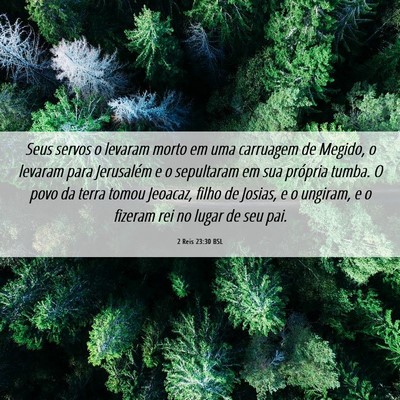 Picture 06 - 2 Reis 23:30 BSL - Seus servos o levaram morto em uma carruagem de - Bible Verse Picture