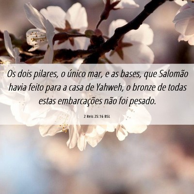 Picture 06 - 2 Reis 25:16 BSL - Os dois pilares, o único mar, e as bases, que - Bible Verse Picture