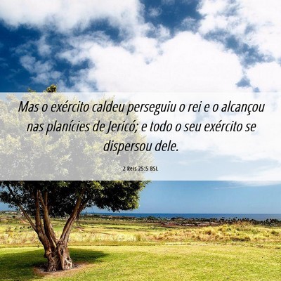 Picture 06 - 2 Reis 25:5 BSL - Mas o exército caldeu perseguiu o rei e o - Bible Verse Picture