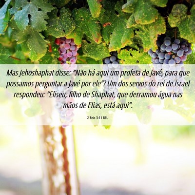 Picture 06 - 2 Reis 3:11 BSL - Mas Jehoshaphat disse: “Não há aqui um - Bible Verse Picture