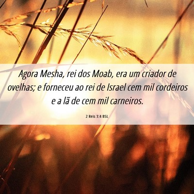 Picture 06 - 2 Reis 3:4 BSL - Agora Mesha, rei dos Moab, era um criador de - Bible Verse Picture
