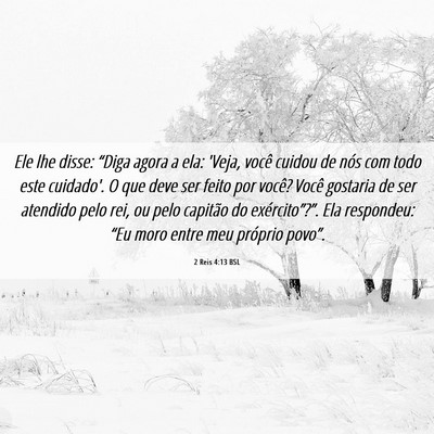 Picture 06 - 2 Reis 4:13 BSL - Ele lhe disse: “Diga agora a ela: 'Veja, você - Bible Verse Picture