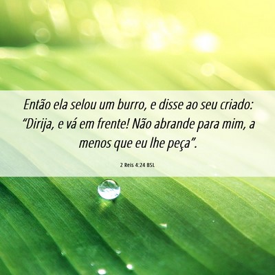 Picture 06 - 2 Reis 4:24 BSL - Então ela selou um burro, e disse ao seu criado: - Bible Verse Picture