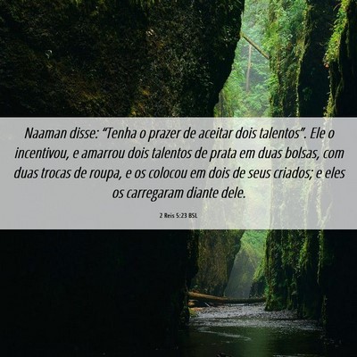Picture 06 - 2 Reis 5:23 BSL - Naaman disse: “Tenha o prazer de aceitar dois - Bible Verse Picture