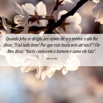 Picture 06 - 2 Reis 9:11 BSL - Quando Jehu se dirigiu aos servos de seu senhor e - Bible Verse Picture