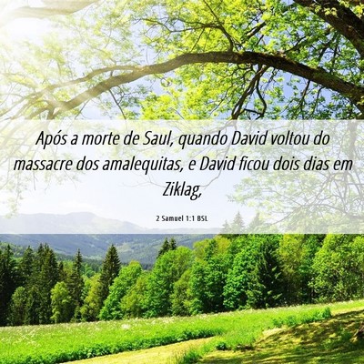 Picture 06 - 2 Samuel 1:1 BSL - Após a morte de Saul, quando David voltou do - Bible Verse Picture