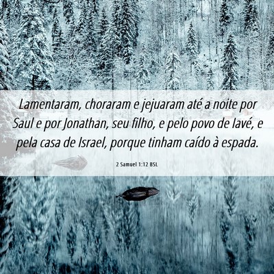 Picture 06 - 2 Samuel 1:12 BSL - Lamentaram, choraram e jejuaram até a noite por - Bible Verse Picture