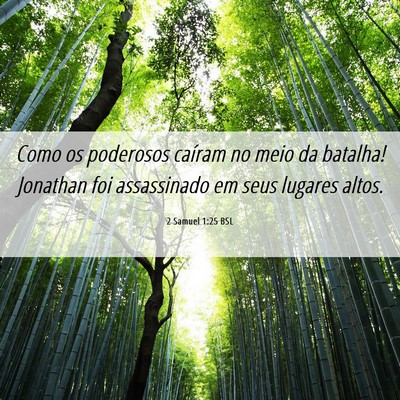 Picture 06 - 2 Samuel 1:25 BSL - Como os poderosos caíram no meio da batalha! - Bible Verse Picture