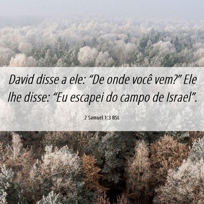 Picture 06 - 2 Samuel 1:3 BSL - David disse a ele: “De onde você vem?” Ele - Bible Verse Picture