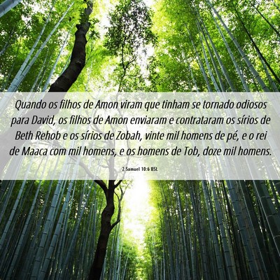 Picture 06 - 2 Samuel 10:6 BSL - Quando os filhos de Amon viram que tinham se - Bible Verse Picture