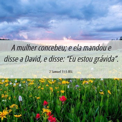 Picture 06 - 2 Samuel 11:5 BSL - A mulher concebeu; e ela mandou e disse a David, - Bible Verse Picture