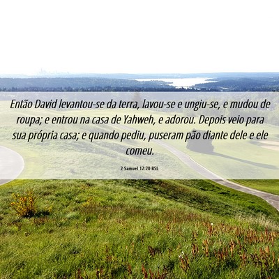 Picture 06 - 2 Samuel 12:20 BSL - Então David levantou-se da terra, lavou-se e - Bible Verse Picture