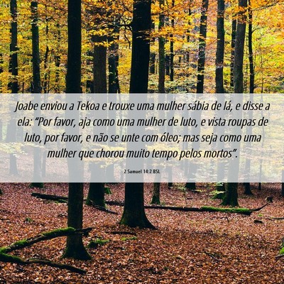Picture 06 - 2 Samuel 14:2 BSL - Joabe enviou a Tekoa e trouxe uma mulher sábia - Bible Verse Picture
