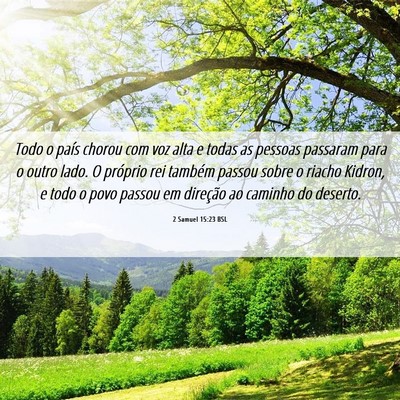 Picture 06 - 2 Samuel 15:23 BSL - Todo o país chorou com voz alta e todas as - Bible Verse Picture