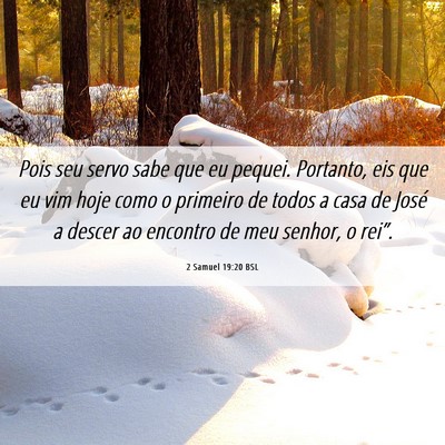 Picture 06 - 2 Samuel 19:20 BSL - Pois seu servo sabe que eu pequei. Portanto, eis - Bible Verse Picture