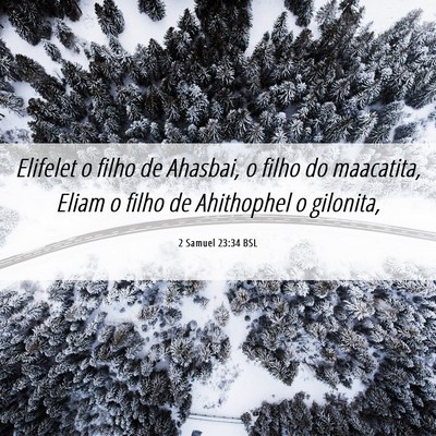 Picture 06 - 2 Samuel 23:34 BSL - Elifelet o filho de Ahasbai, o filho do - Bible Verse Picture