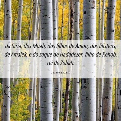 Picture 06 - 2 Samuel 8:12 BSL - da Síria, dos Moab, dos filhos de Amon, dos - Bible Verse Picture