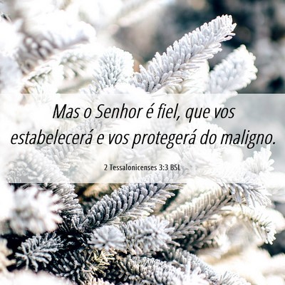 Picture 06 - 2 Tessalonicenses 3:3 BSL - Mas o Senhor é fiel, que vos estabelecerá e vos - Bible Verse Picture