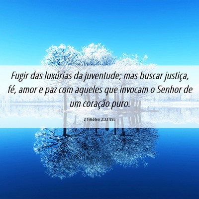 Picture 06 - 2 Timóteo 2:22 BSL - Fugir das luxúrias da juventude; mas buscar - Bible Verse Picture