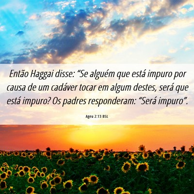 Picture 06 - Ageu 2:13 BSL - Então Haggai disse: “Se alguém que está - Bible Verse Picture