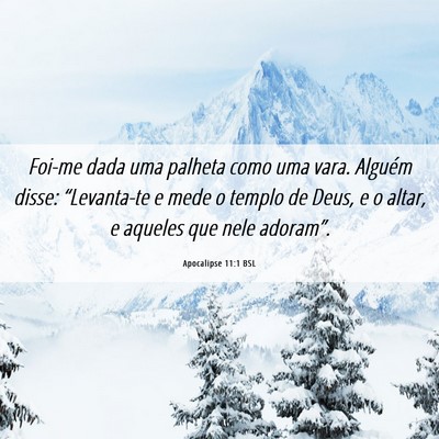 Picture 06 - Apocalipse 11:1 BSL - Foi-me dada uma palheta como uma vara. Alguém - Bible Verse Picture