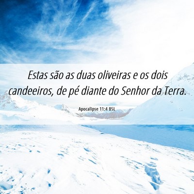 Picture 06 - Apocalipse 11:4 BSL - Estas são as duas oliveiras e os dois - Bible Verse Picture