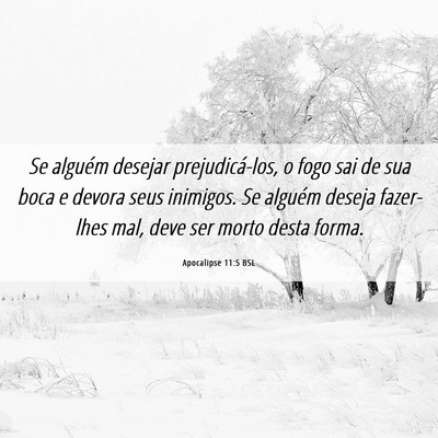 Picture 06 - Apocalipse 11:5 BSL - Se alguém desejar prejudicá-los, o fogo sai de - Bible Verse Picture