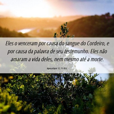 Picture 06 - Apocalipse 12:11 BSL - Eles o venceram por causa do sangue do Cordeiro, - Bible Verse Picture