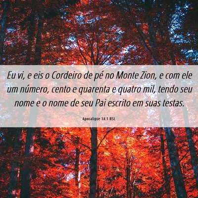 Picture 06 - Apocalipse 14:1 BSL - Eu vi, e eis o Cordeiro de pé no Monte Zion, e - Bible Verse Picture