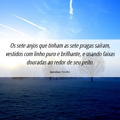 Picture 06 - Apocalipse 15:6 BSL - Os sete anjos que tinham as sete pragas saíram, - Bible Verse Picture