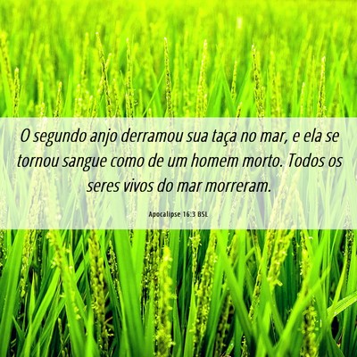 Picture 06 - Apocalipse 16:3 BSL - O segundo anjo derramou sua taça no mar, e ela - Bible Verse Picture