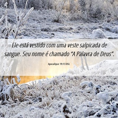 Picture 06 - Apocalipse 19:13 BSL - Ele está vestido com uma veste salpicada de - Bible Verse Picture