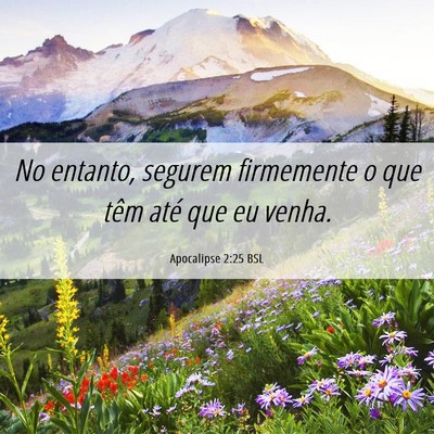 Picture 06 - Apocalipse 2:25 BSL - No entanto, segurem firmemente o que têm até - Bible Verse Picture