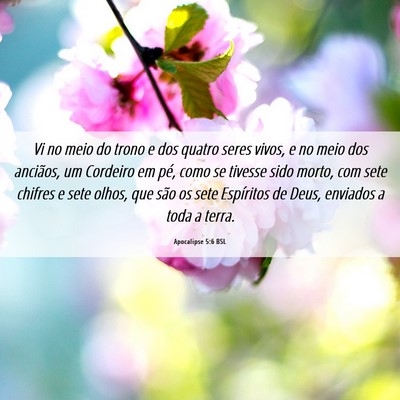 Picture 06 - Apocalipse 5:6 BSL - Vi no meio do trono e dos quatro seres vivos, e - Bible Verse Picture