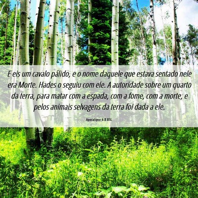 Picture 06 - Apocalipse 6:8 BSL - E eis um cavalo pálido, e o nome daquele que - Bible Verse Picture