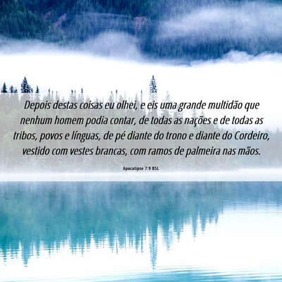 Picture 06 - Apocalipse 7:9 BSL - Depois destas coisas eu olhei, e eis uma grande - Bible Verse Picture