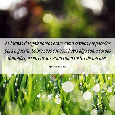 Picture 06 - Apocalipse 9:7 BSL - As formas dos gafanhotos eram como cavalos - Bible Verse Picture