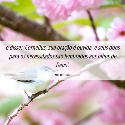 Picture 06 - Atos 10:31 BSL - e disse: 'Cornelius, sua oração é ouvida, e - Bible Verse Picture