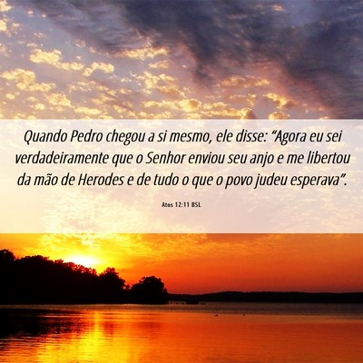 Picture 06 - Atos 12:11 BSL - Quando Pedro chegou a si mesmo, ele disse: - Bible Verse Picture