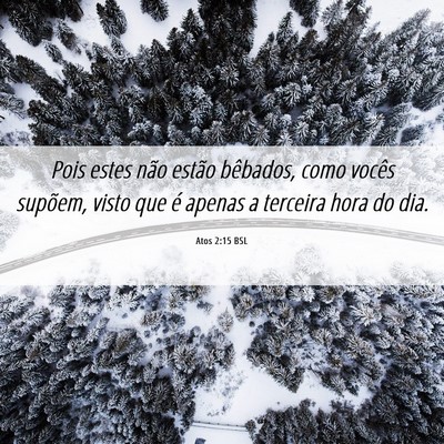 Picture 06 - Atos 2:15 BSL - Pois estes não estão bêbados, como vocês - Bible Verse Picture