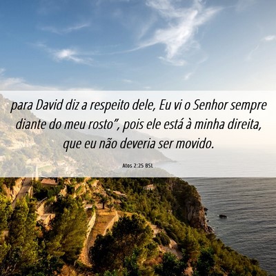 Picture 06 - Atos 2:25 BSL - para David diz a respeito dele, Eu vi o Senhor - Bible Verse Picture