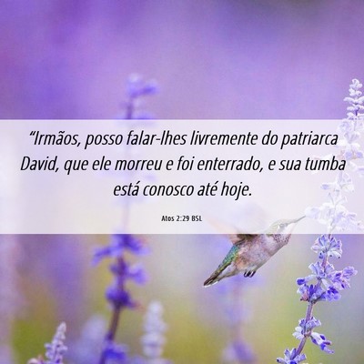 Picture 06 - Atos 2:29 BSL - “Irmãos, posso falar-lhes livremente do - Bible Verse Picture