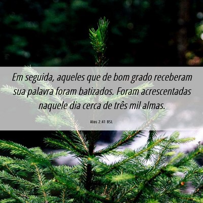 Picture 06 - Atos 2:41 BSL - Em seguida, aqueles que de bom grado receberam - Bible Verse Picture