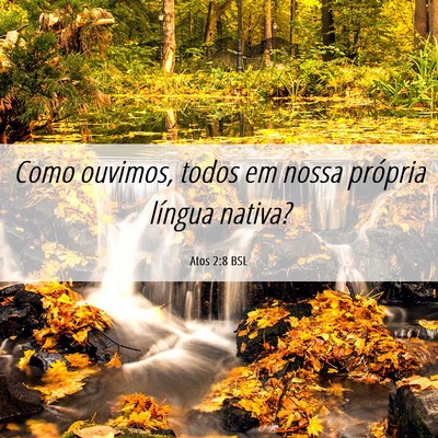 Picture 06 - Atos 2:8 BSL - Como ouvimos, todos em nossa própria língua - Bible Verse Picture