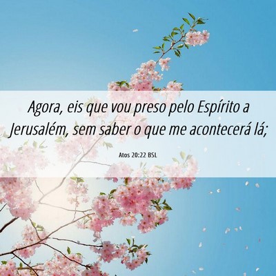 Picture 06 - Atos 20:22 BSL - Agora, eis que vou preso pelo Espírito a - Bible Verse Picture