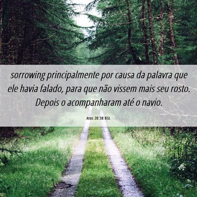 Picture 06 - Atos 20:38 BSL - sorrowing principalmente por causa da palavra que - Bible Verse Picture