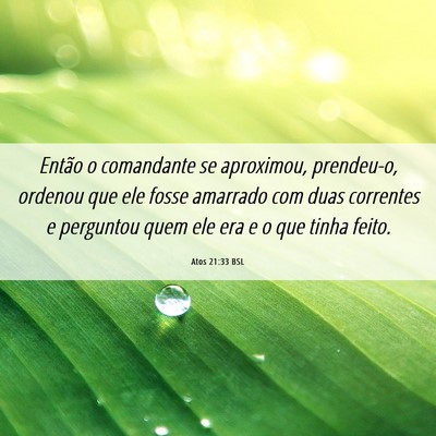 Picture 06 - Atos 21:33 BSL - Então o comandante se aproximou, prendeu-o, - Bible Verse Picture