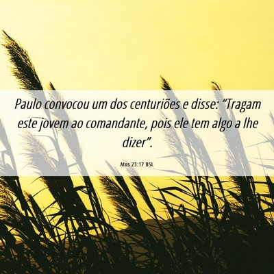 Picture 06 - Atos 23:17 BSL - Paulo convocou um dos centuriões e disse: - Bible Verse Picture