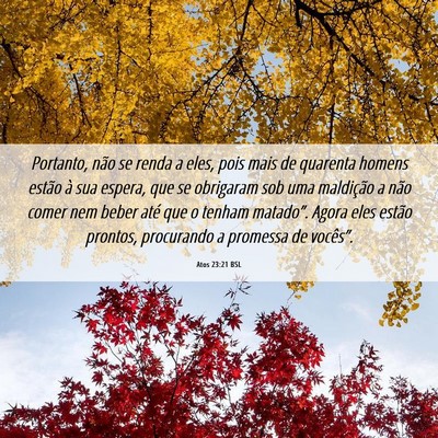 Picture 06 - Atos 23:21 BSL - Portanto, não se renda a eles, pois mais de - Bible Verse Picture